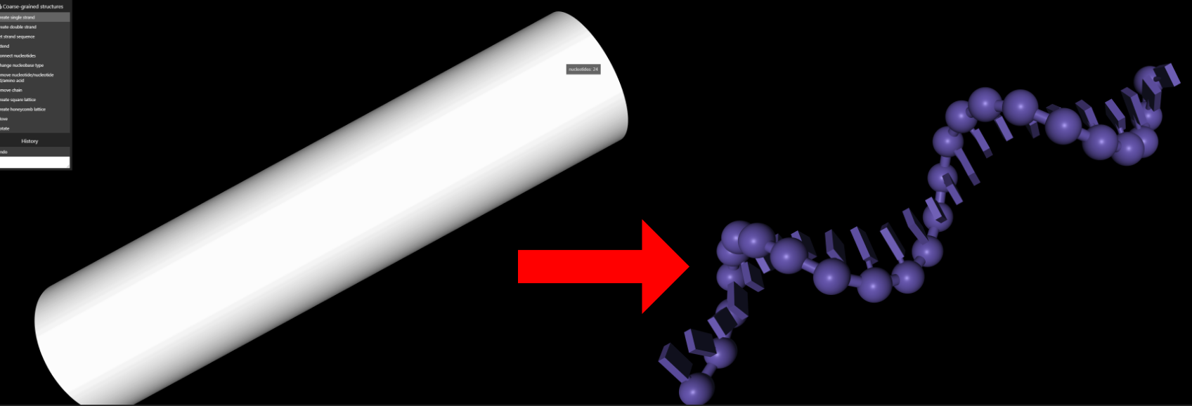 Creation of a DNA strand